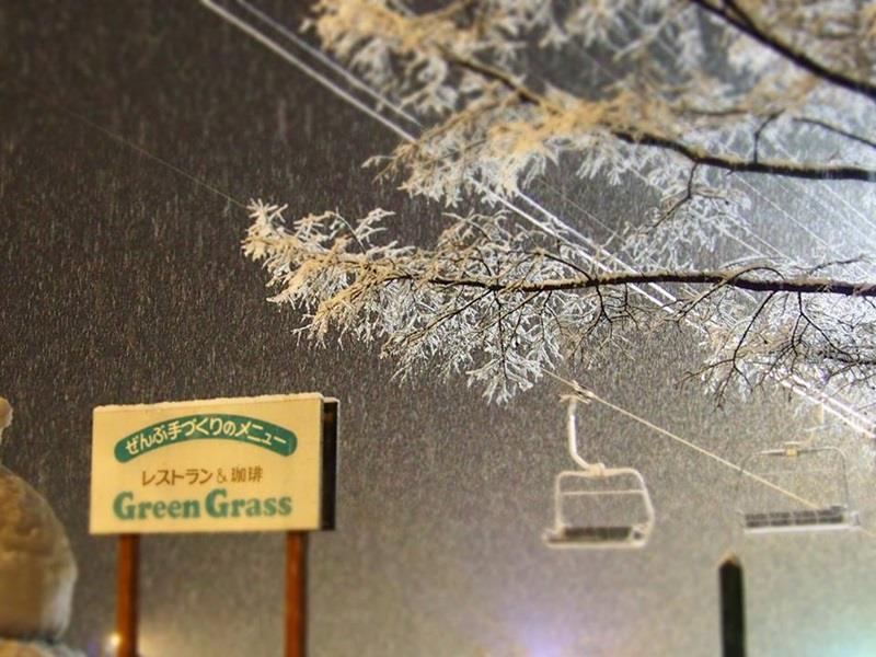 Pension & Restaurant Green Grass Hakuba Exterior foto